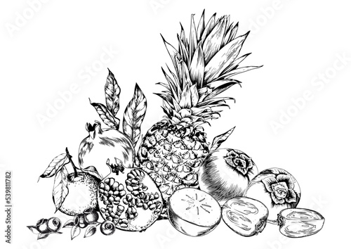 Pineapples, pomegranates and sweet fruits arrangement. Black and white hand drawn vector illustration.