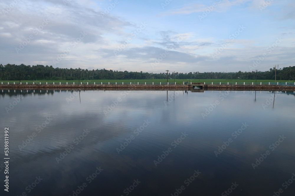 check dam near paddy field