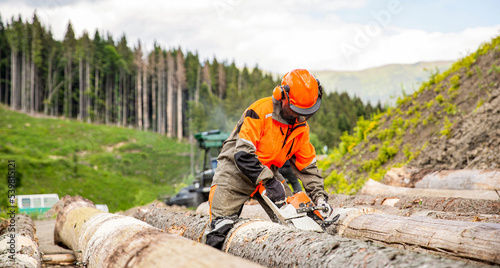 Lumberman work wirh chainsaw in the forest. Deforestation, forest cutting concept. Woodcutter lumberjack is man chainsaw tree. Woodcutter saws tree chainsaw on sawmill