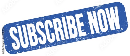 SUBSCRIBE NOW text on blue grungy stamp sign.