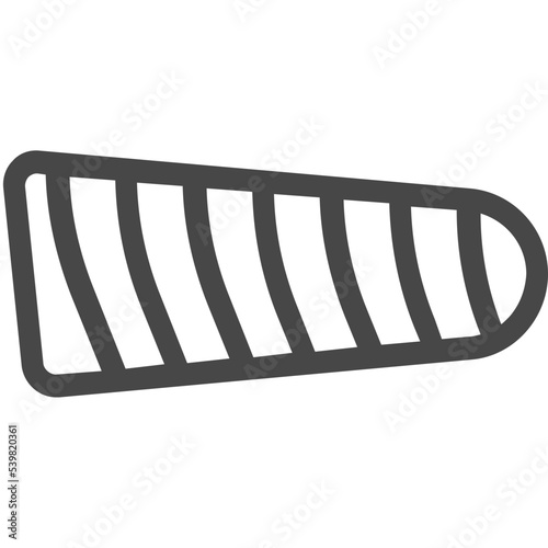 salmon icon