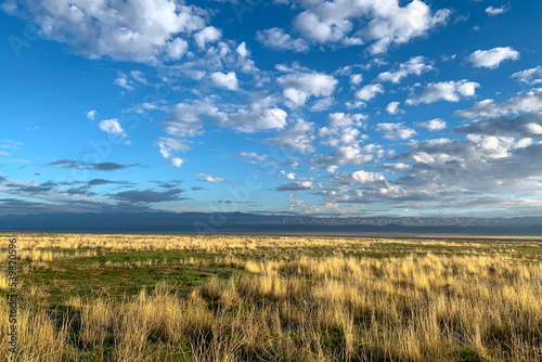 Carrizo Plain National Monument, San Luis Obispo County