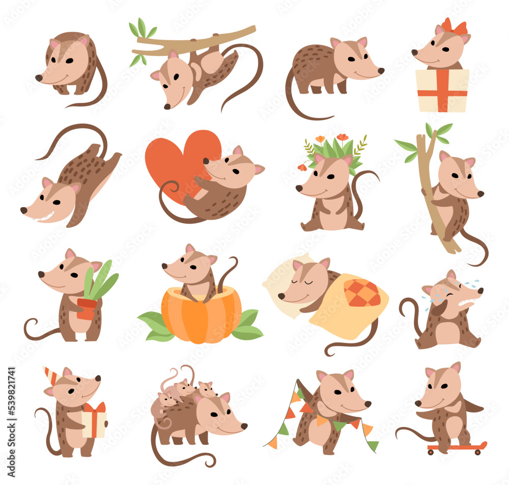 Fototapeta premium Cute Opossum Animal Engaged in Different Activity Big Vector Set