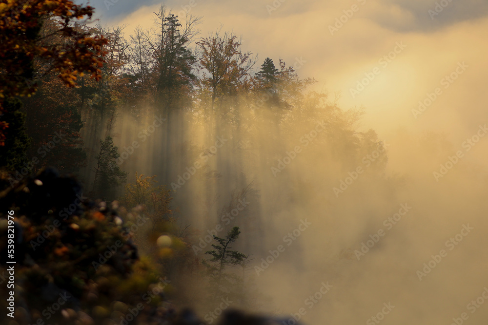 Pieniny