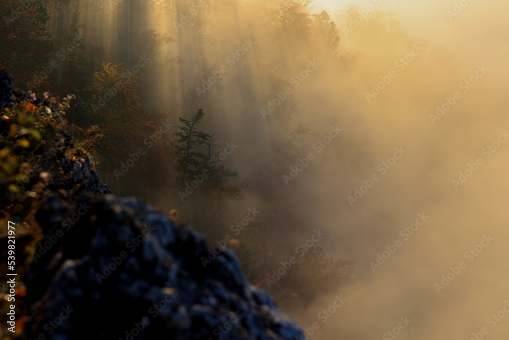 Pieniny