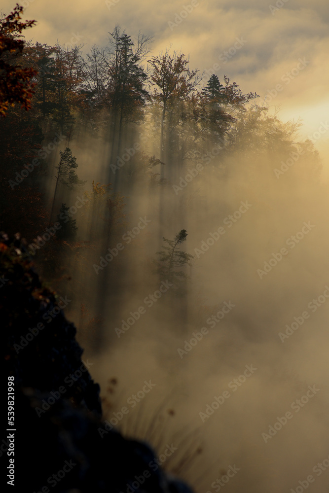 Pieniny