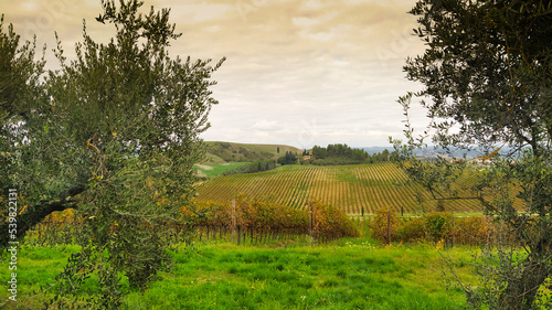 Panorami del Chianti in autunno. Toscana, Italia