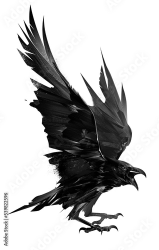 drawn raven bird. bird in flight on a white background