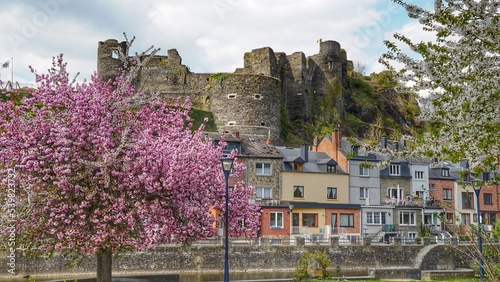 La Roche en Ardennes, Burg, Ourthe, Fluss, Blüte