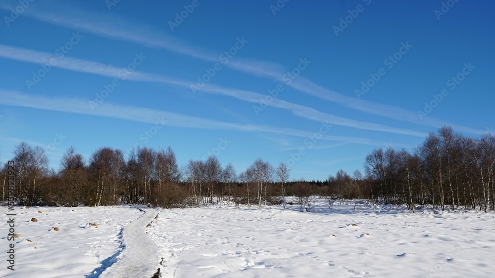 Hohes Venn, wasser, bach ,eis, winter, sonne, stege, eiszapfen Hohes Venn, wasser, bach ,eis, winter, sonne, stege, eiszapfen