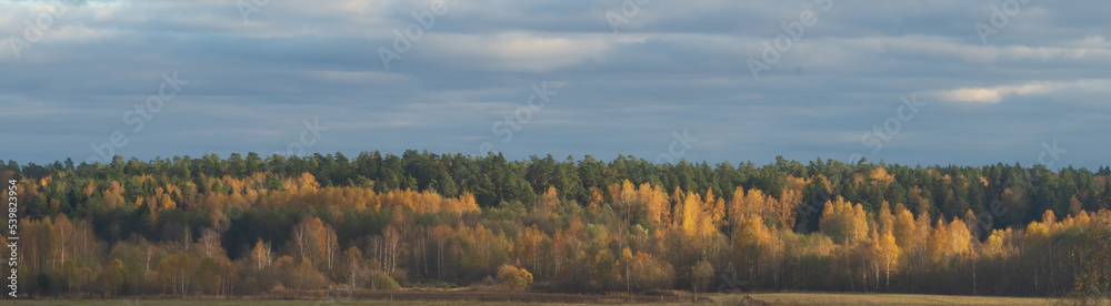 Autumn landscape, nature landscape.Golden autumn skyline.