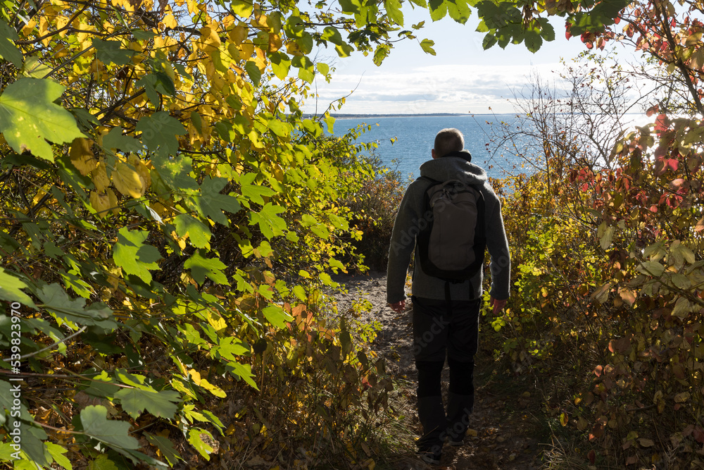 Back view of a hiker with rucksack walking along a scenic coastal path in autumn on the island of Hiddensee.