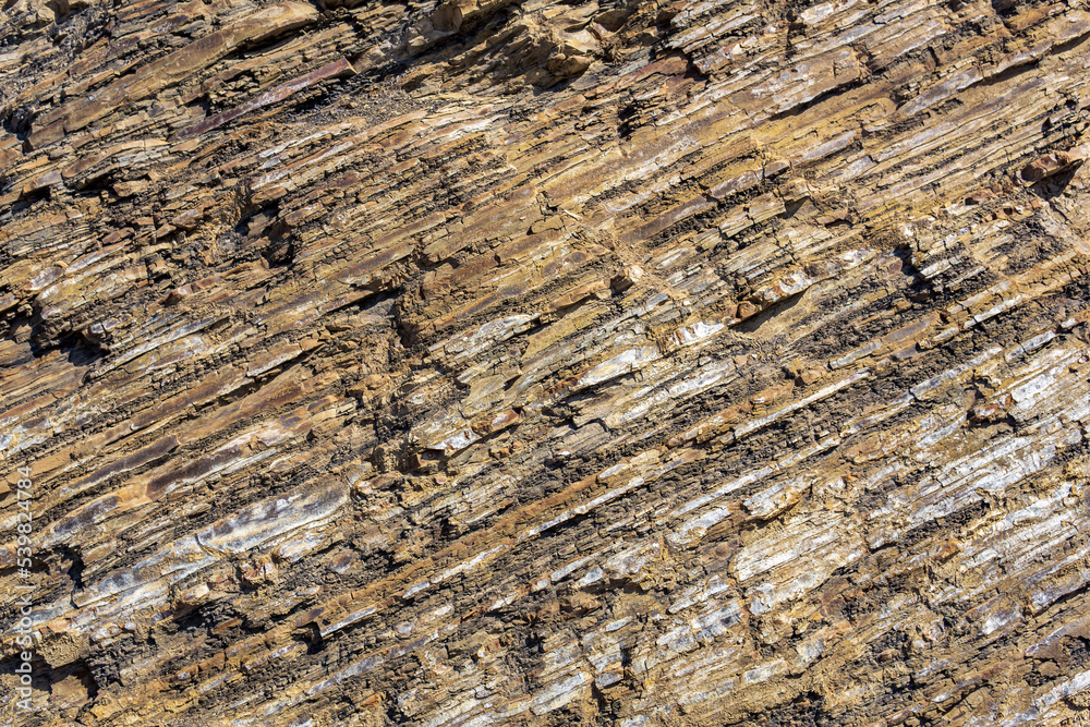 Fototapeta premium background, texture of layered brown rock