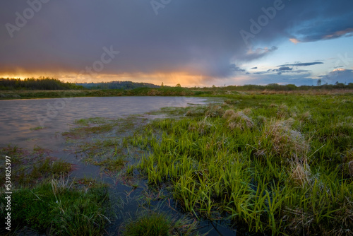 sunset over swamp