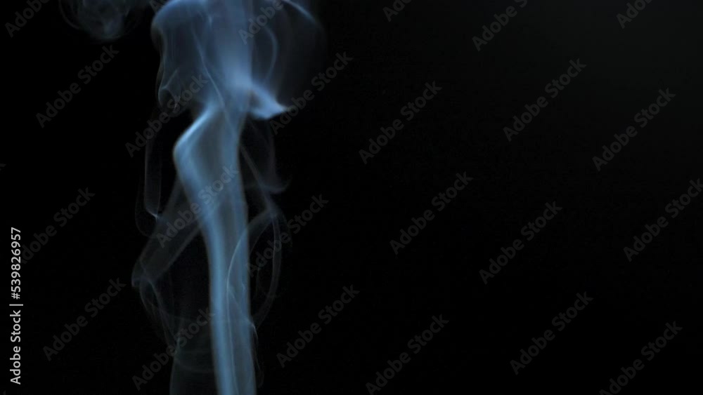 Abstract smoke rises up in beautiful swirls on a black background. Slow motion Abstract smoke rises up in beautiful swirls on a black background. Slow motion