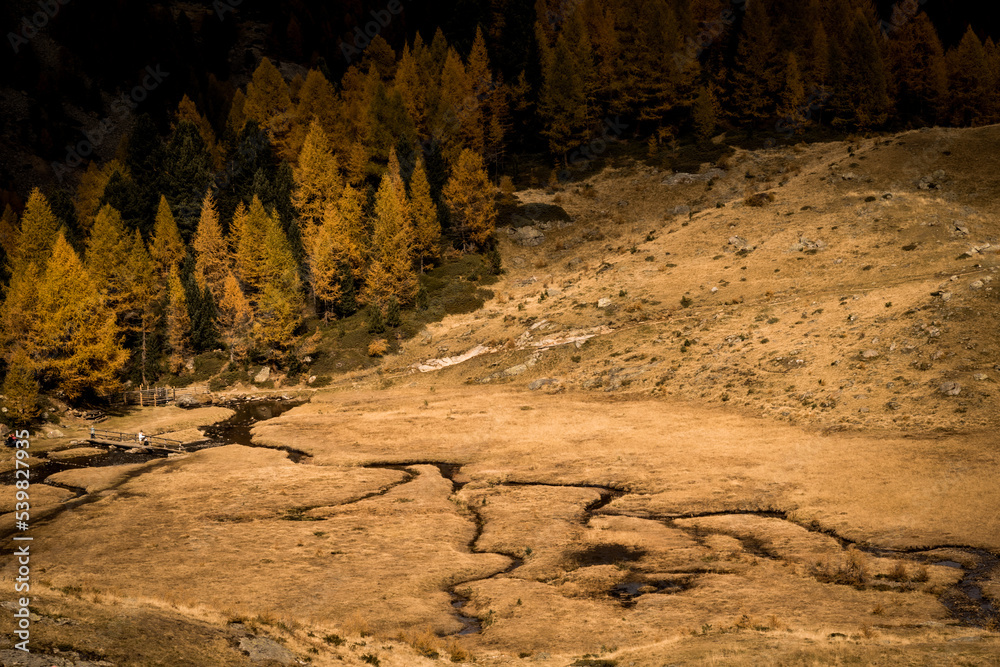 Herbst in den Alpen