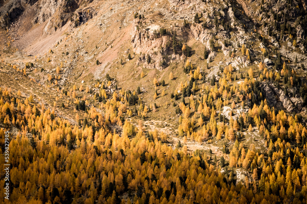 Goldener Herbst