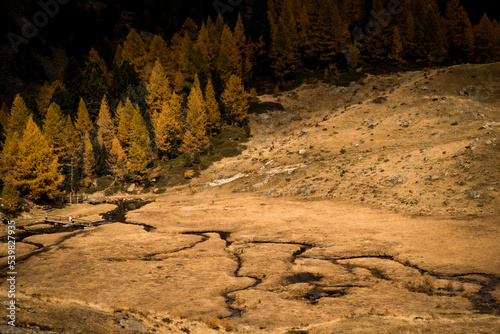Obraz na płótnie Herbst in den Alpen w salonie