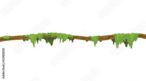 Lianas stem border. Rainforest green vine or twisted plant hanging on branch. Cartoon jungle creeper, leaves or moss on tree. Vector isolated game scenery element. Tropical nature plant