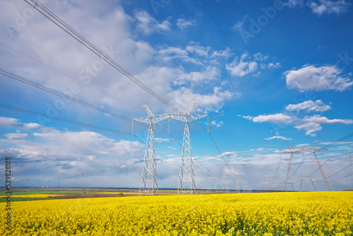High voltage electric tower on field of rape
