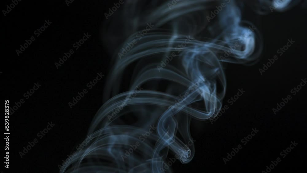 Abstract smoke rises up in beautiful swirls on a black background. Slow motion Abstract smoke rises up in beautiful swirls on a black background. Slow motion