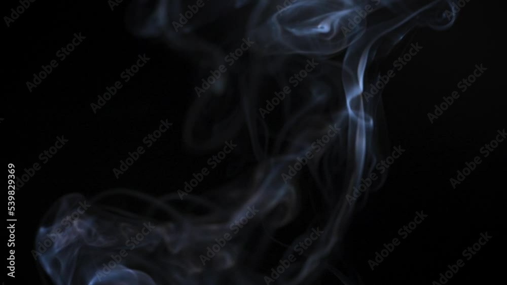 Abstract smoke rises up in beautiful swirls on a black background. Slow motion Abstract smoke rises up in beautiful swirls on a black background. Slow motion