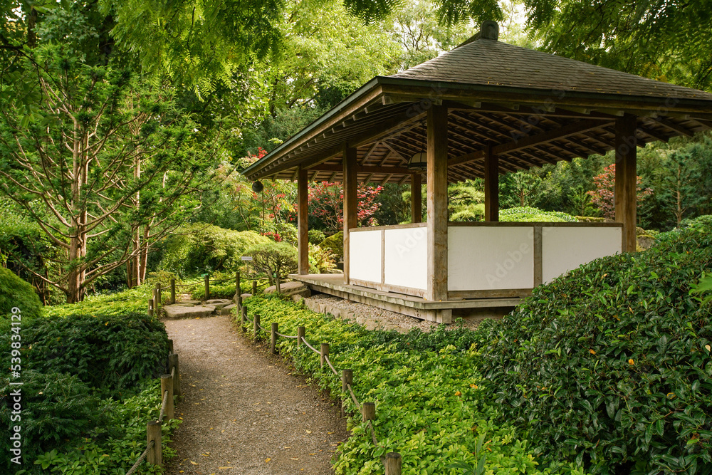 Awe view on japanese garden in Hamburg with palmate maple and palmate maple dissectum Awe view on japanese garden in Hamburg with palmate maple and palmate maple dissectum