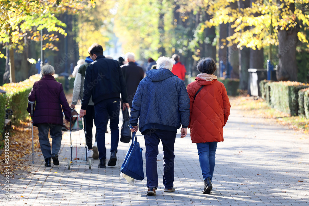 Starsi ludzie spacerują jesienną alejką na cmentarzu.  - obrazy, fototapety, plakaty 