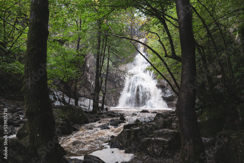 Autumn nature landscape in the forest on the waterfall path in the evening. Holiday destinations. Yalova city. Turkey. 