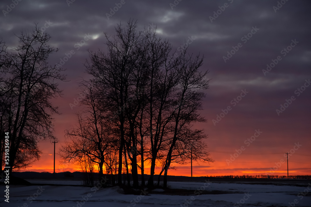 Winter bright orange and purple sunset with trees in the foreground.