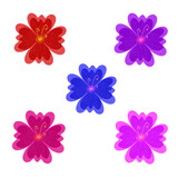 set of flowers