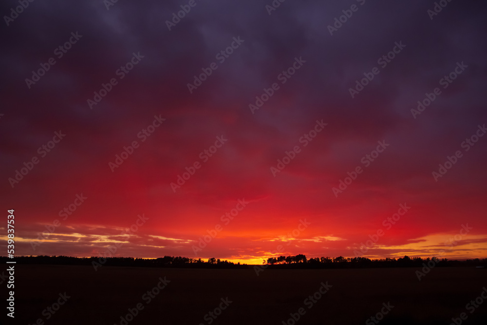 Fototapeta premium Beautiful purple and orange sunset over the field and forest.