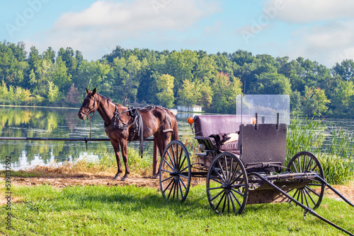 Amish Horse and buggy wait at the water's edge for the owners who are fishing.