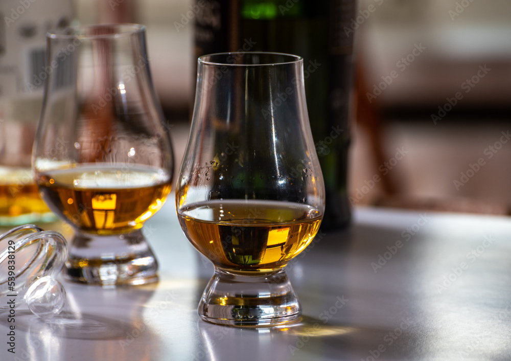 Tasting of whiskey, tulip-shaped tasting glasses with dram of Scotch single malt or blended whisky on white table