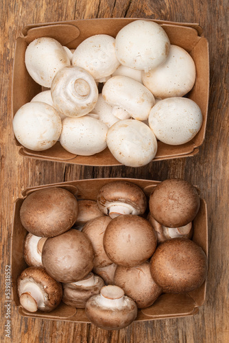 fresh harvested crimini white and brown mushrooms in cardboard containers