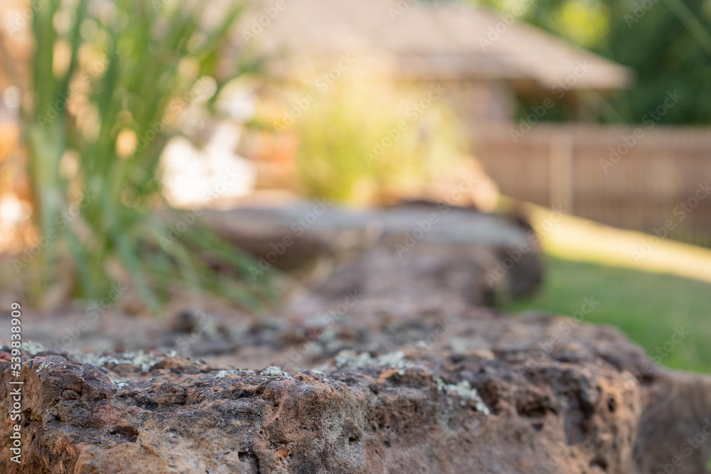 Obraz premium Outdoor Landscaping Lawn Gardening and Retaining Wall with Plants