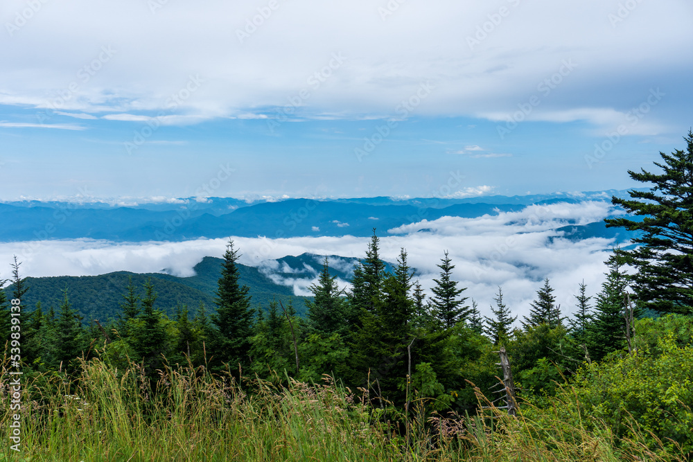 Great Smoky Mountain National Park. Foggy, cloudy mountain views from Clingmans Dome - highest point in park, Tennessee, and Appalachian Trail. Spruce-fir forest is coniferous rainforest.