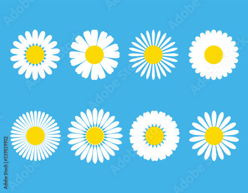 Chamomile. White daisy round flower set. Chamomile icon collection. Isolated on blue background. Flat design. Vector illustration. Summer chamomile flower. Love symbol