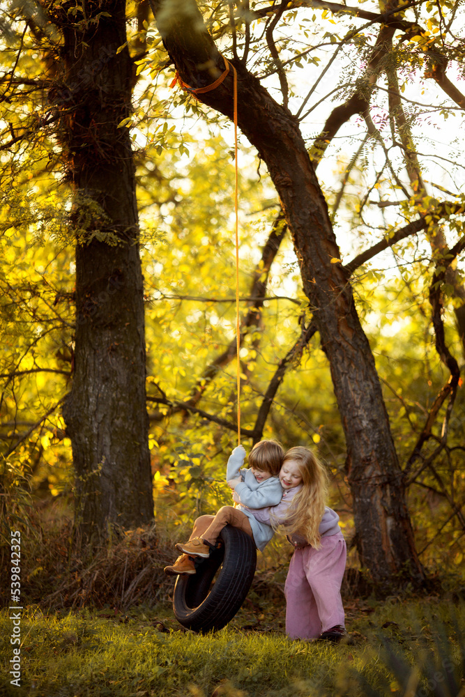 children swing on a swing wheel suspended from a tree at sunset in autumn children swing on a swing wheel suspended from a tree at sunset in autumn