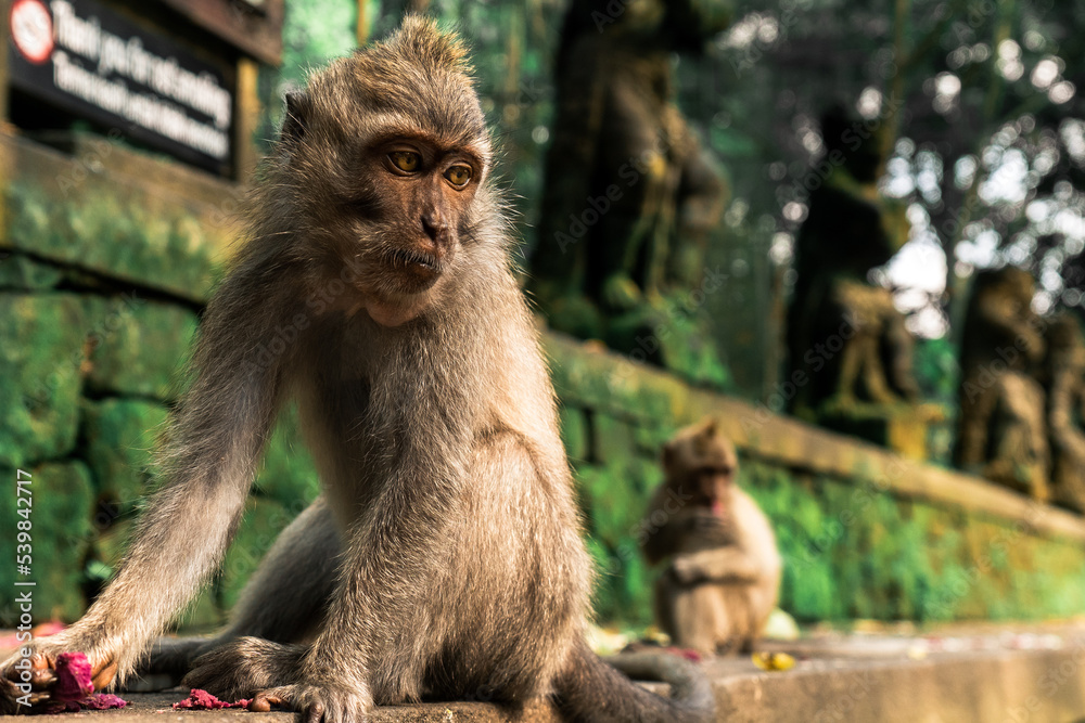 Naklejka premium parent and baby