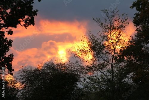 Fiery Autumn Sunset - Uk