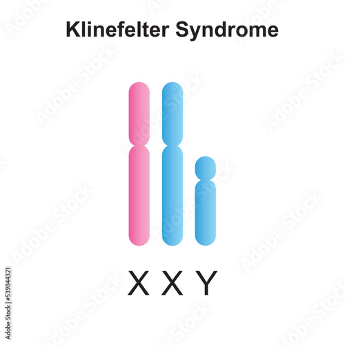 Scientific Designing of Klinefelter Syndrome (XXY). Colorful Symbols. Vector Illustration.