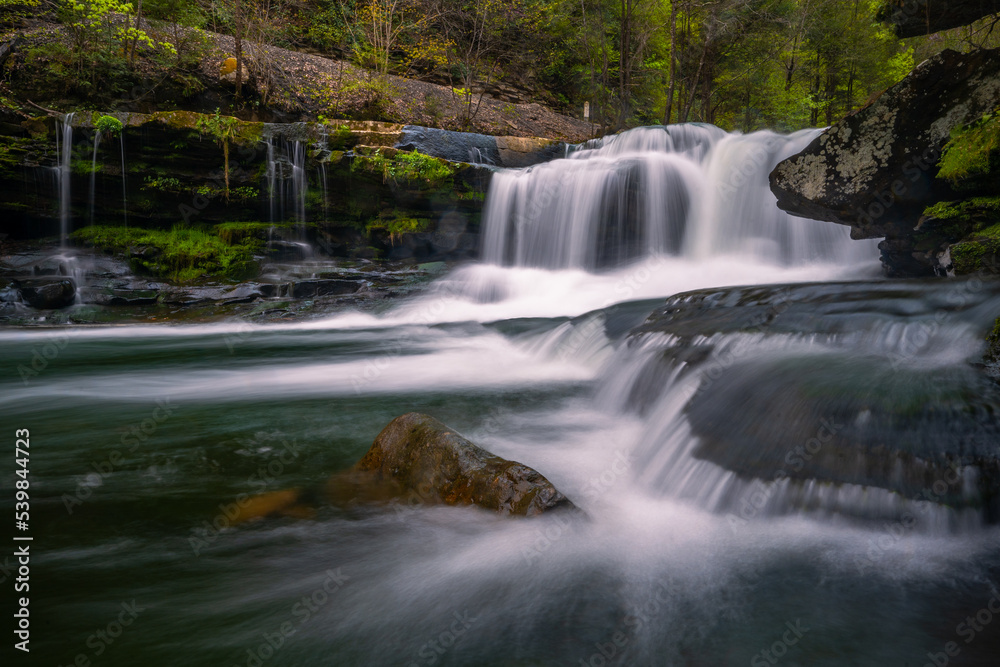 waterfall in the forest waterfall in the forest