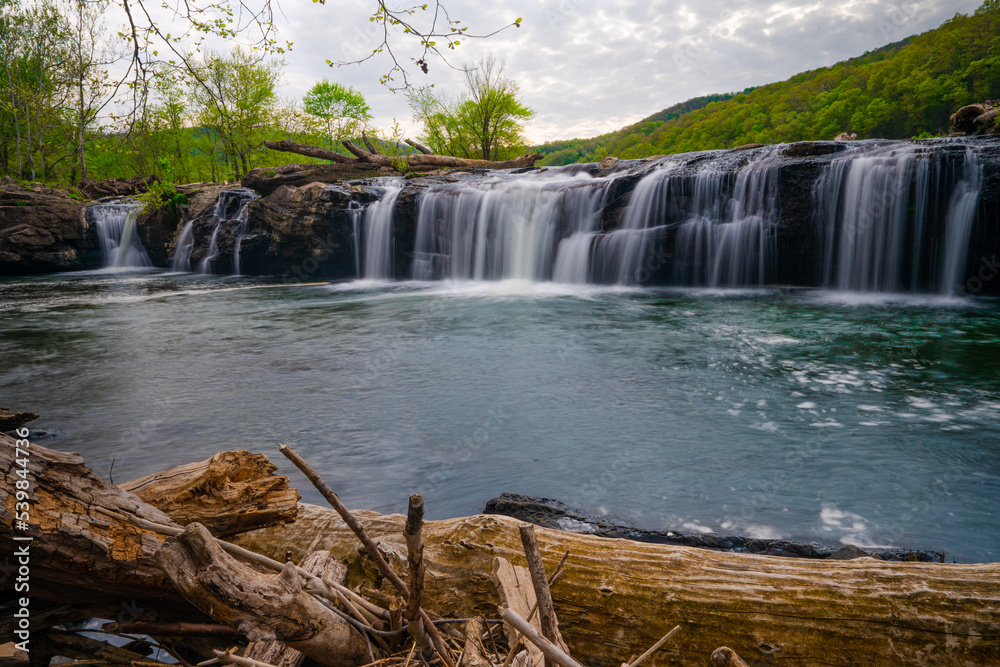 Fototapeta premium waterfall in the forest
