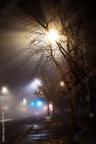 Fototapeta Naklejka Na Ścianę i Meble -  foggy night
