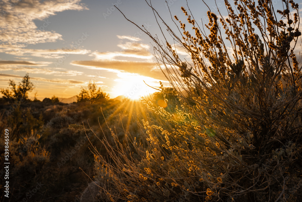 Fototapeta premium zion