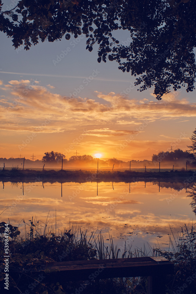Reflection on pond in sunrise. High quality photo