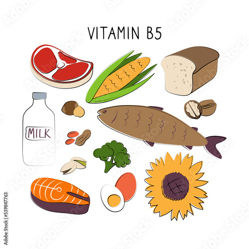 Vitamin B5 Pantothenic acid. Groups of healthy products containing vitamins. Set of fruits, vegetables, meats, fish and dairy