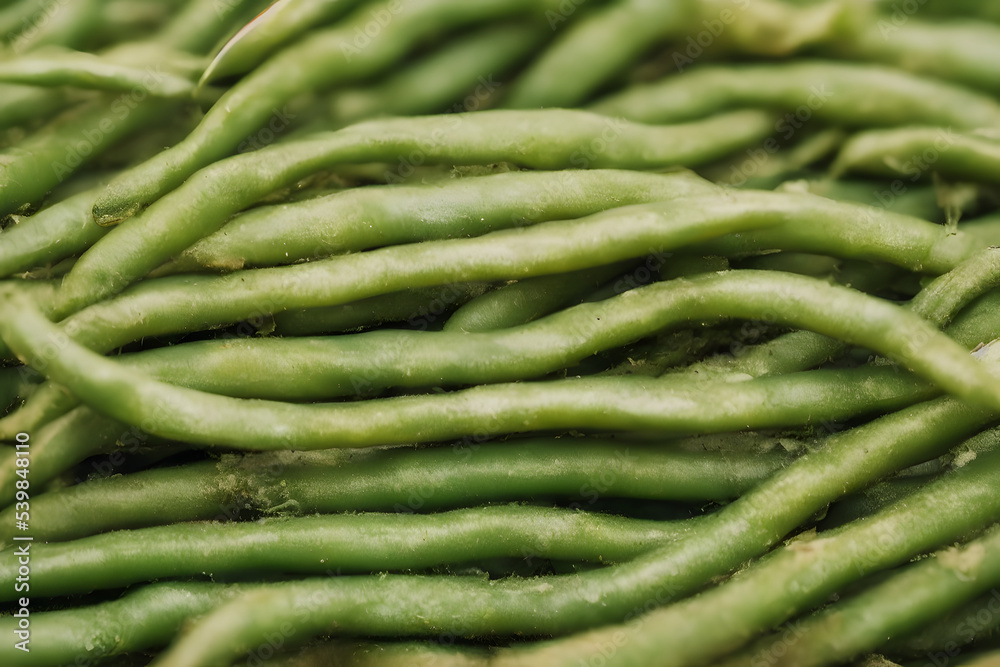 green beans, a healthy vegetable food, freshly harvested, farm produce green beans, a healthy vegetable food, freshly harvested, farm produce