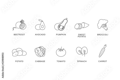 Vegetables. A set of vegetables on a white background. Vetkornaya illustration. Linear art. Broccoli, avocado, potatoes, carrots, spinach, pumpkin, tomato, cabbage, sweet potato, beetroot.